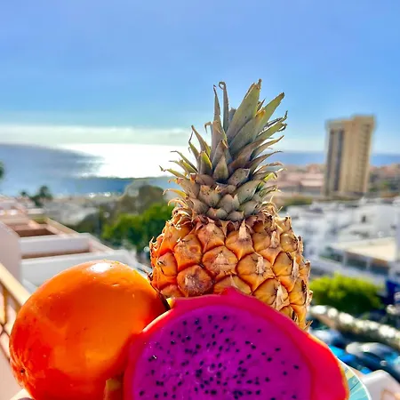 Lejlighed Vistas Dream *