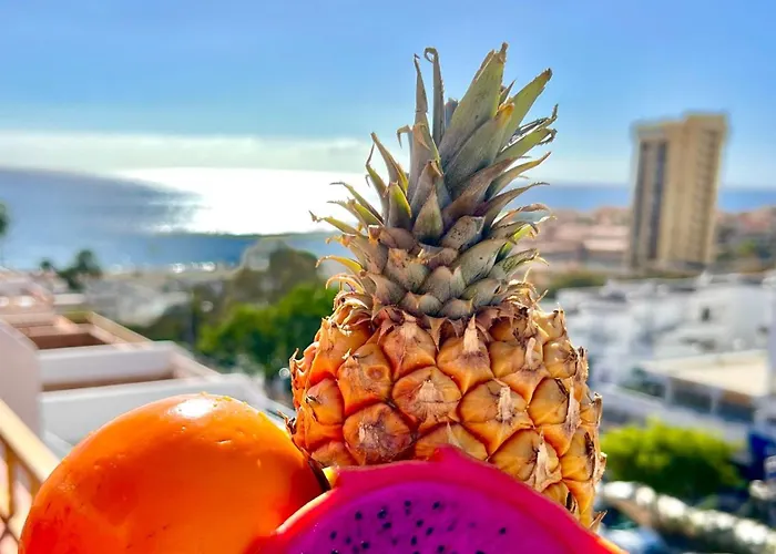 شقة Vistas Dream *